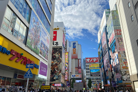 Akihabara: Tour del Anime, Manga, Juegos y Maid Cafe