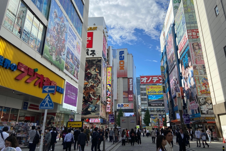 Akihabara: Anime, Manga, Game & Maid Cafe Tour