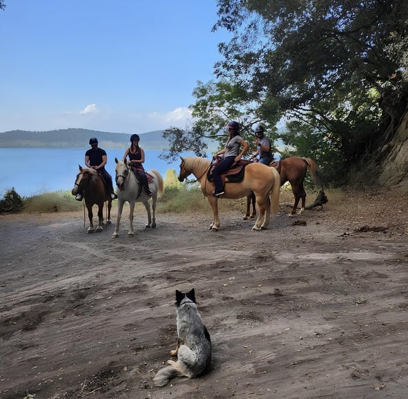 Roma: escursione a cavallo con guida sul Lago di Martignano