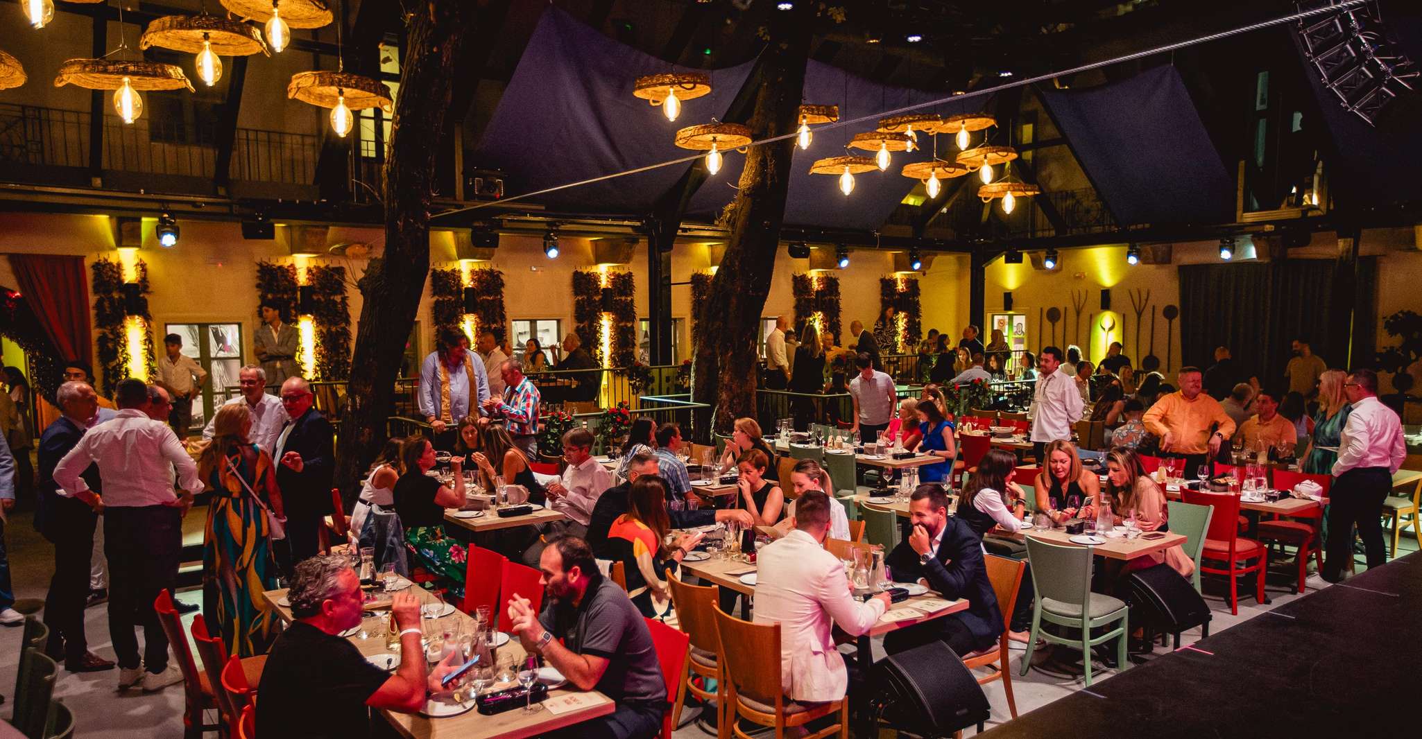 Budapest: Hungarian Dinner & Show with Unlimited Drinks photo 16