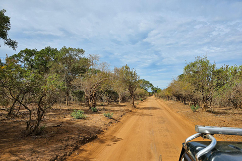 Yala safari with Jeep and tickets from Ella