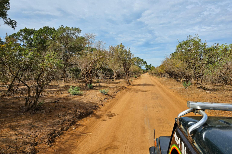 Yala safari with Jeep and tickets from Ella