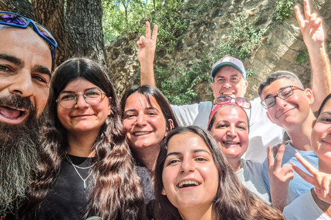 Excursión en minibús por los montes Troodos con aire acondicionado y guía local