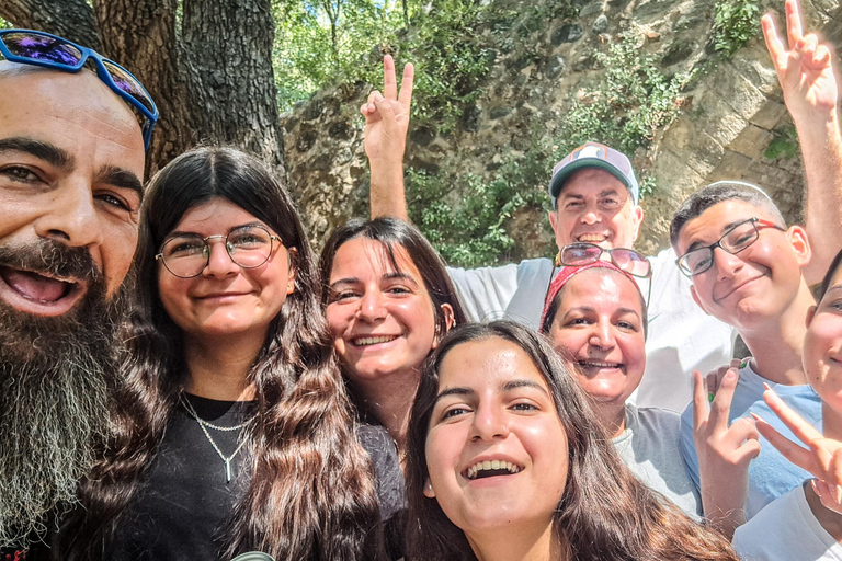 Excursión en minibús por los montes Troodos con aire acondicionado y guía local