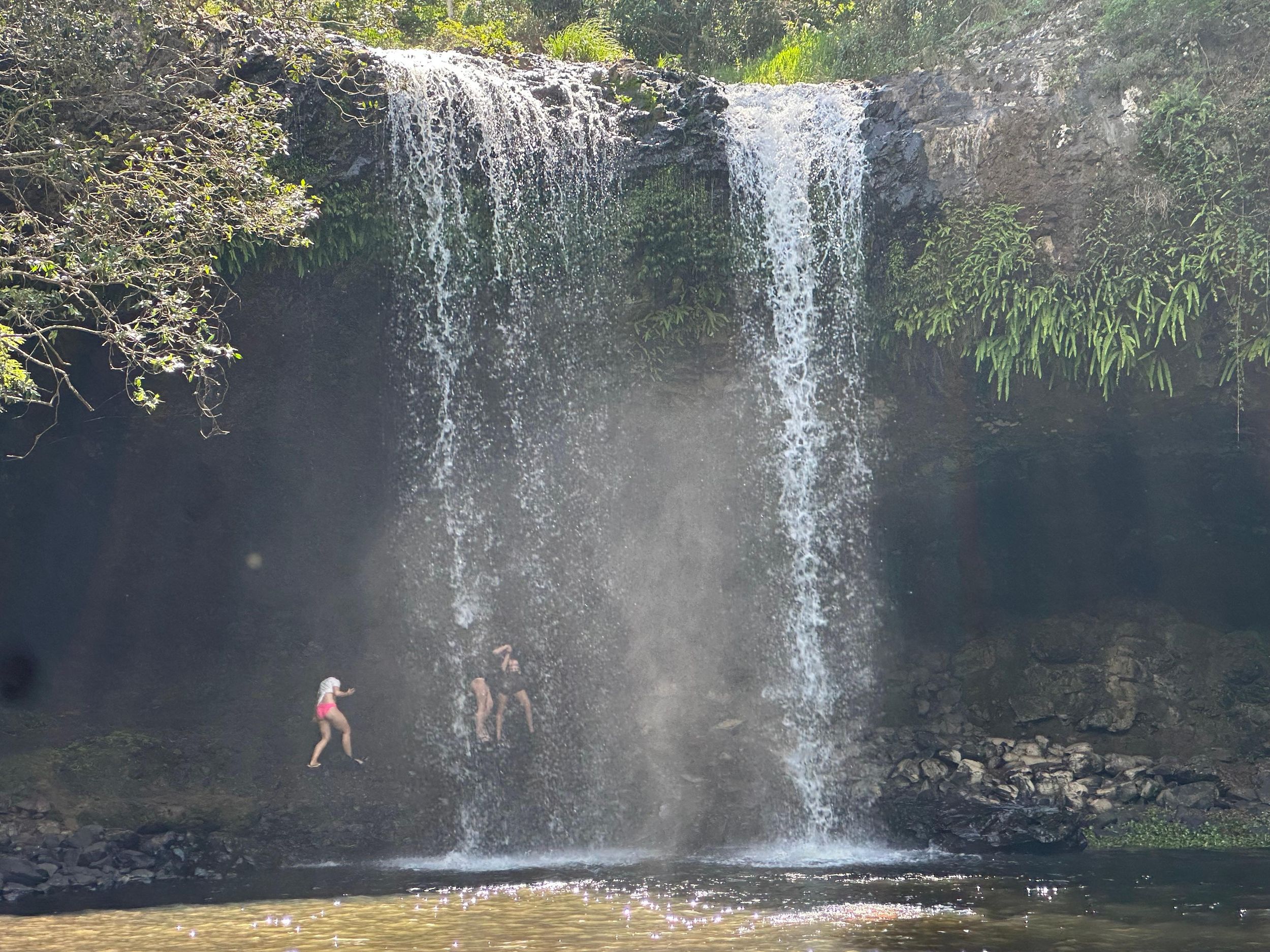 Byron Bay: Geführte Öko-Tour zu den Wasserfällen im Regenwald