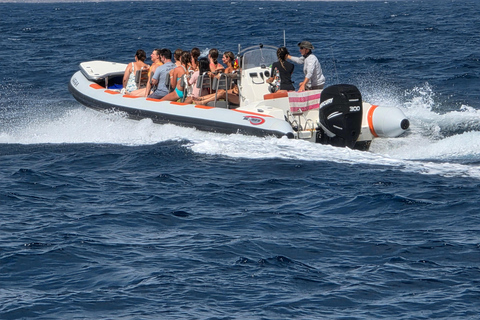 From Alicante: Private Speedboat Tour for a Farewell