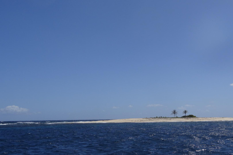A day at sea to discover the lagoons of the Îlets du François A day trip to the lagoons of François