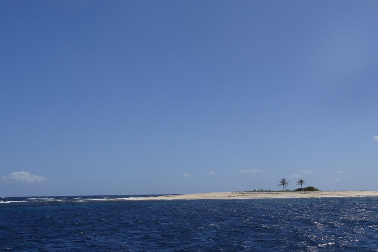 A day at sea to discover the lagoons of the Îlets du François A day trip to the lagoons of François