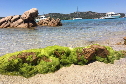 Shared Group Mini-Cruise in the Corsican Archipelago