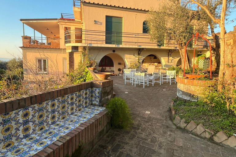 Sorrento: Cooking with a Local Chef & Wine Pairing by the Sea