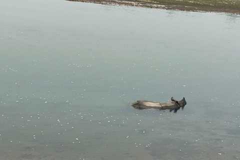 From Pokhara: Chitwan 2N/3D National Park Tour