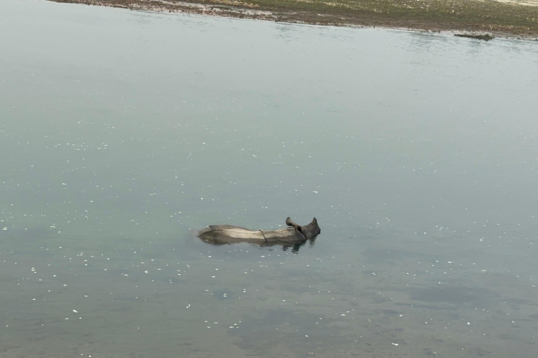 From Pokhara: Chitwan 2N/3D National Park Tour