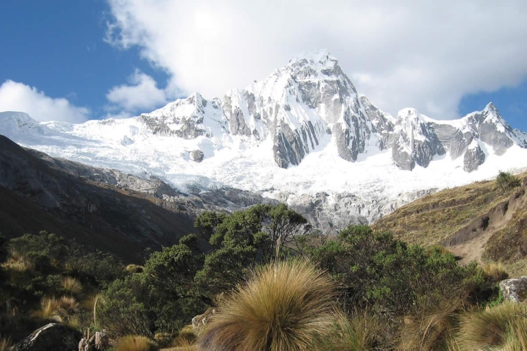 Desde Ancash: Trekking Cedros del Alpamayo |9Días-8Noches|