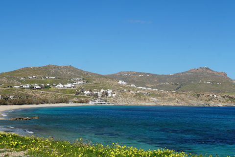 Private Island Tour: A Drive Around Mykonos' highlights