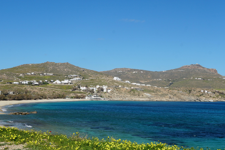 Private Island Tour: A Drive Around Mykonos' highlights