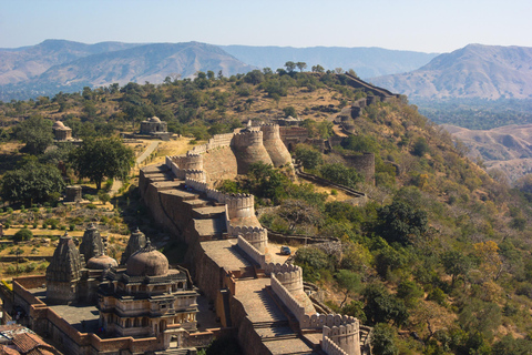 Udaipur to Jodhpur: Ranakpur Temple & Leopard Safari Tour