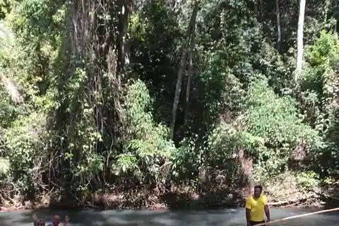 Falmouth: Bamboo Rafting and Dunn's River Falls Tour