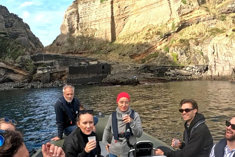 圣米格尔岛：火山奇观、洞穴与历史游船之旅