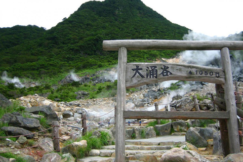 Tóquio: Mt. Fuji Lake Ashi&amp;Ropeway, excursão de um dia ao Vale OwakudaniServiço de busca na estação de Tóquio às 8:00 AM