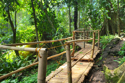 Hidden Valley Springs | Lunch | Taal Volcano Viewing (2in1)