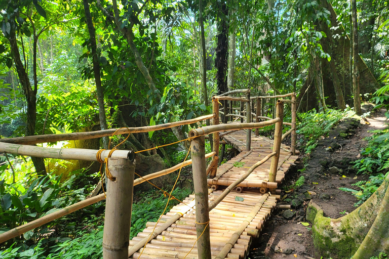 Hidden Valley Springs | Lunch | Taal Volcano Viewing (2in1)