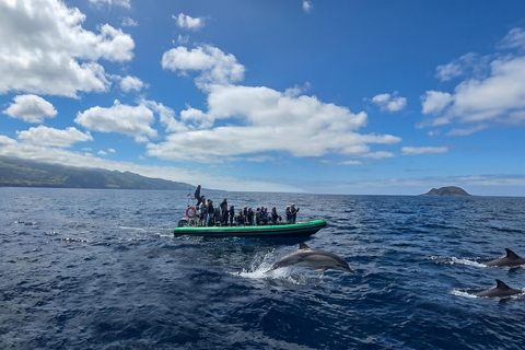 Trip to Vulcanic Corvo Island Including Island Sightseeing