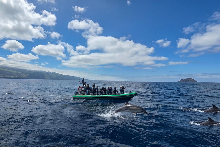 Trip to Vulcanic Corvo Island Including Island Sightseeing