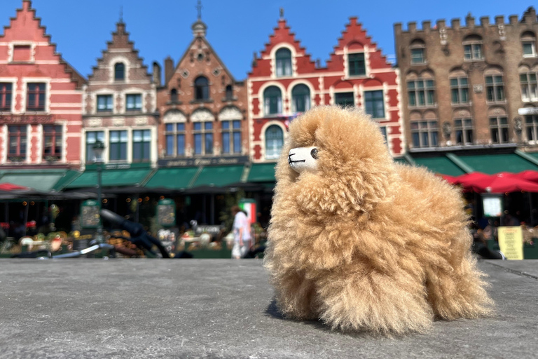 Brujas y Gante desde Bruselas Excursión, degustacionesFurgoneta 4 personas