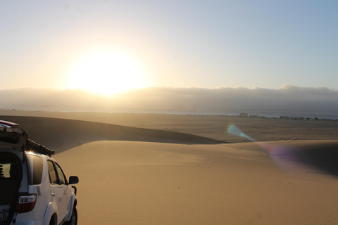 Swakopmund: Sandboarding and Lagoon Kayaking Combo Tour