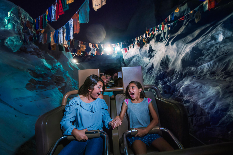 Limited Time Offer: Disney 4-Day, 4-Parks Magic Ticket 2-Day Walt Disney World Tickets with Park Hopper