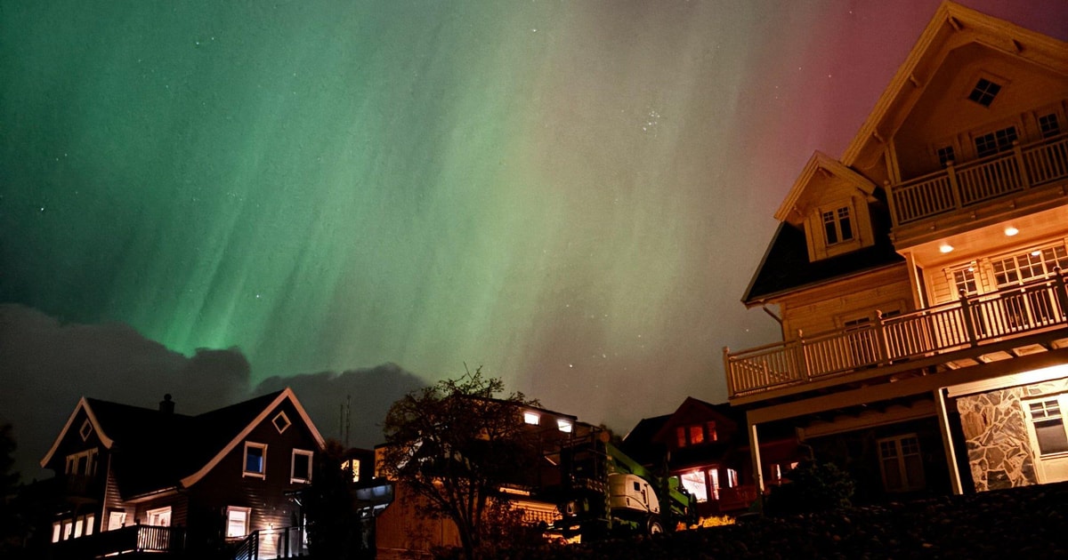 Tromsø: Nordlystur med bus – jag Aurora Borealis | GetYourGuide