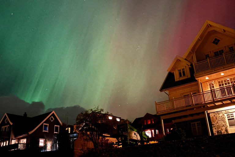 Tromsø:Tour de la aurora boreal en minibús por Tromsø