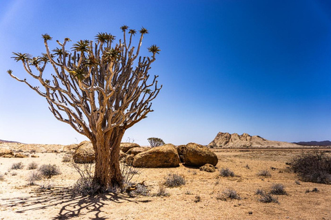 Walvisbay: Namib Naukluft Birding, Landscape & Photography