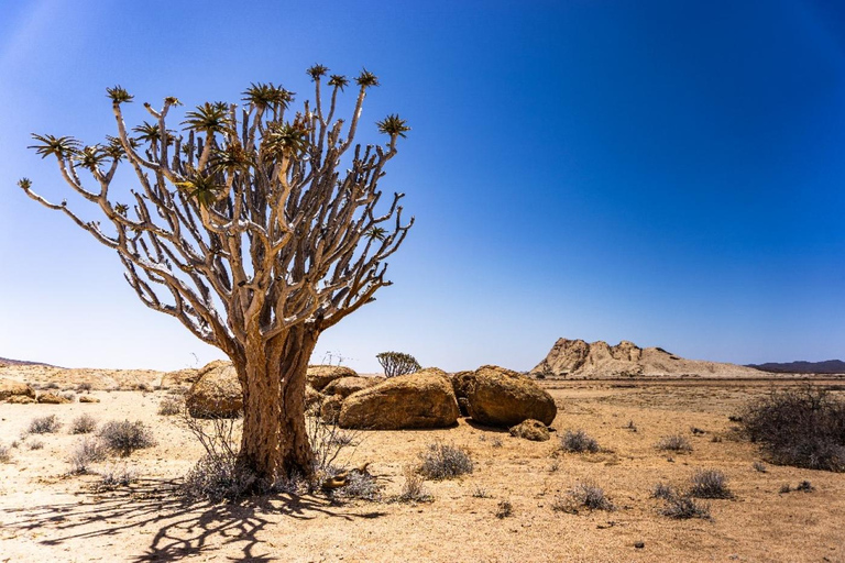 Walvisbay: Namib Naukluft Birding, Landscape & Photography