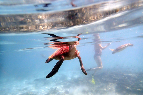 From Al-Seeb: Dimaniyat Islands Boat Trip with Snorkeling4-Hour Shared Boat Trip