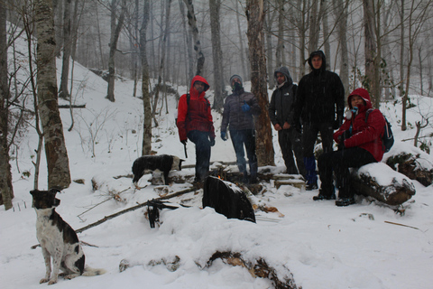 Vandring genom avlägset belägna byar i Azerbajdzjan 9 dagarVandring genom avlägsna byar i Azerbajdzjan 9 dagar