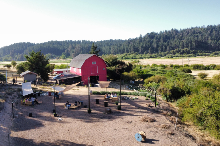 Valparaíso Seguro + Country Tour in Casablanca Pitama Valparaíso Seguro + Countryside Tour in Casablanca Pitama