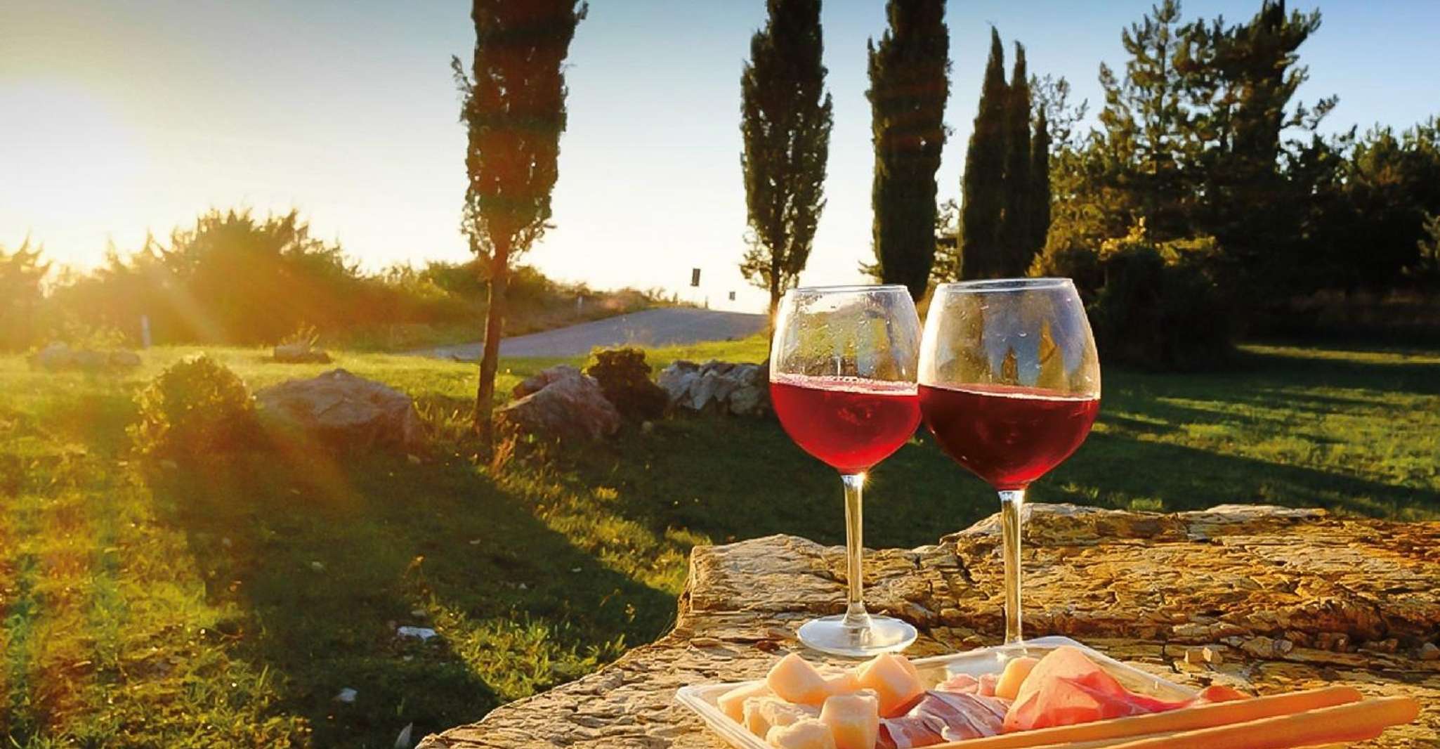 Florence: Chianti Vineyards Tour with Wine Tasting & Dinner photo 5