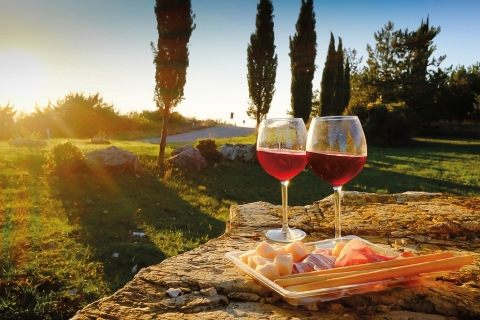 Wine Tasting and Dinner in the Vineyards of Chianti Tour in Spanish