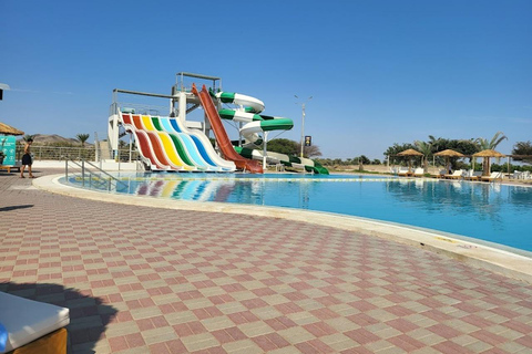 Lima: Ica Camel ride + Huacachina + "Adventure in the Desert" pool Lima: Ica Camel Ride + Huacachina + Swimming Pool "Adventure in the Desert"