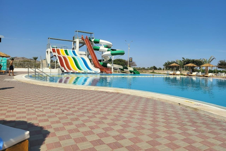 Lima: Ica Camel ride + Huacachina + "Adventure in the Desert" pool Lima: Ica Camel Ride + Huacachina + Swimming Pool "Adventure in the Desert"