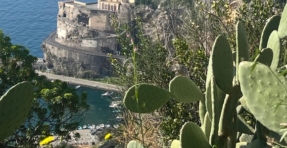 From Amalfi: Lemon Tour with Tasting Session and Transfer