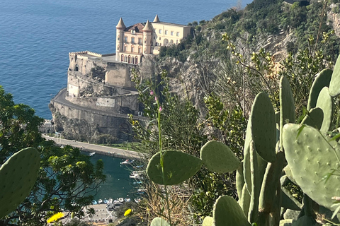 Z Positano: Wycieczka cytrynowa z degustacją i transferem