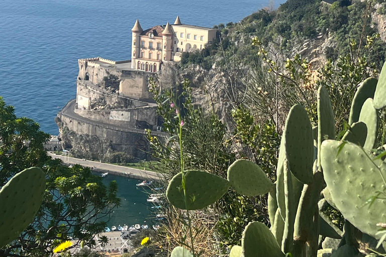 Z Positano: Wycieczka cytrynowa z degustacją i transferem