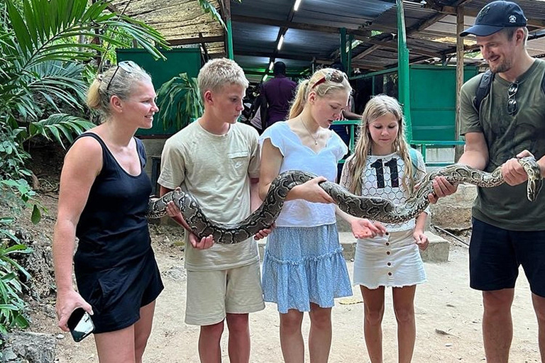 Visite de la ville de Mombasa avec l&#039;expérience des crocodiles du village de Mamba.