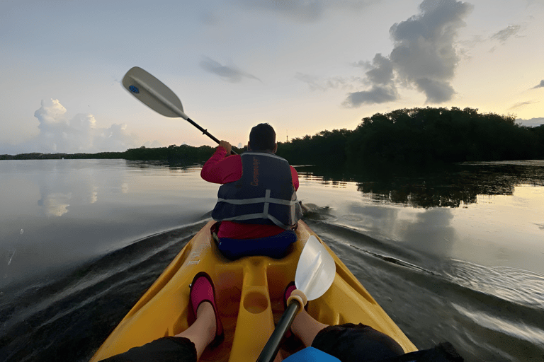 Excursión en kayak al amanecer con Wayak Tour