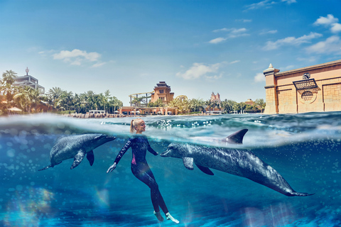 Dubaï : Nagez avec les dauphins au parc aquatique Atlantis