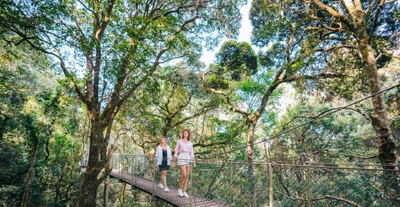 Gold Coast: Lamington, O&#39;Reilly&#39;s & Vineyard Tour