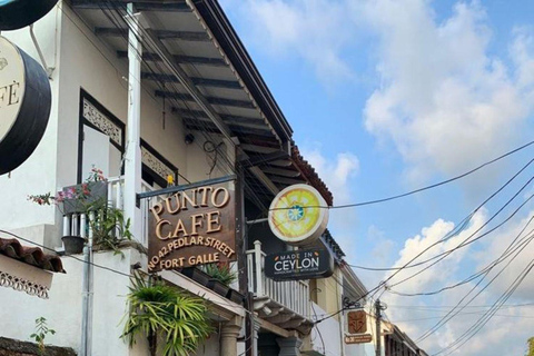 Colombo: Galle Fort, River Safari, and Coast Day Trip From Colombo, Negombo and kaluthara to Galle Fort