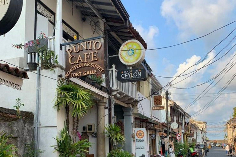 Colombo: Galle Fort, River Safari, and Coast Day Trip From Colombo, Negombo and kaluthara to Galle Fort